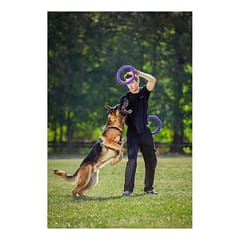 PULLER Standard dog training device diameter 28 cm