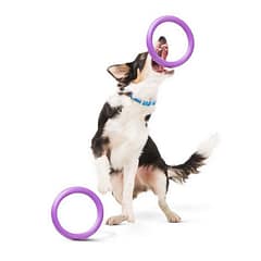 PULLER Midi dog training device diameter 20 cm