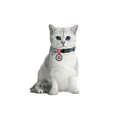 Collar QR Pasaportlu Kedi Boyun Tasması
