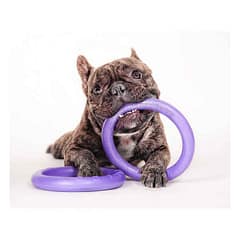 Dog training device PULLER Micro diameter 13 cm