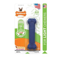 Nylabone Tavuk Aromalı Dental Köpek Oyuncağı