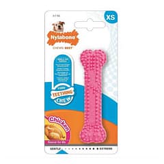 Nylabone Tavuk Aromalı Yavru Çiğneme Kemiği