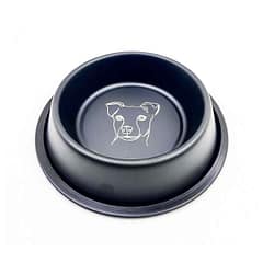 Playfull 16 Oz Desenli Çelik Mama ve Su Kabı