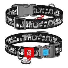 Collar Waudog Batman Logolu Plastik Tokalı Köpek Boyun Tasması 35-58 Cm 25mm