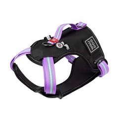 Collar Waudog Fosforlu ve QR Pasaportlu Köpek Göğüs Tasması XL Mor 25mm