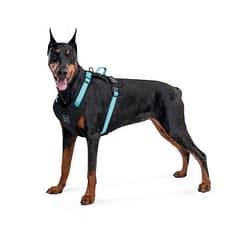 Collar Waudog Fosforlu ve QR Pasaportlu Köpek Göğüs Tasması S Mavi 20mm