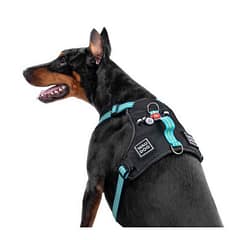 Collar Waudog Fosforlu ve QR Pasaportlu Köpek Göğüs Tasması XL Mavi 25mm