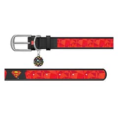 WAUDOG Design genuine leather dog collar with QR passport