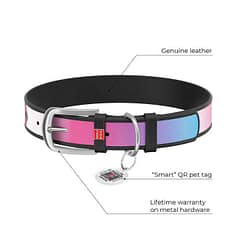 WAUDOG Design genuine leather dog collar with QR passport, "Harley Quinn" design L 29-38 cm black