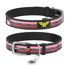 WAUDOG Design genuine leather dog collar with QR passport