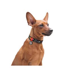 WAUDOG Nylon dog collar with QR passport, "NASA" design, metal fastex, W 25 mm, L 35-58 cm