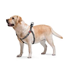 WAUDOG Nylon dog harness with QR passport