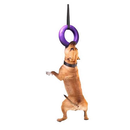 PULLER Maxi dog training device diameter 30 cm