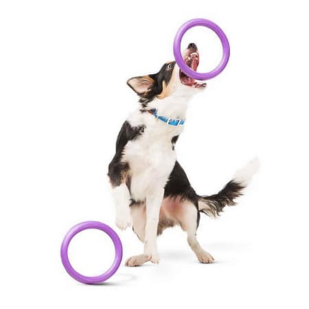 PULLER Midi dog training device diameter 20 cm