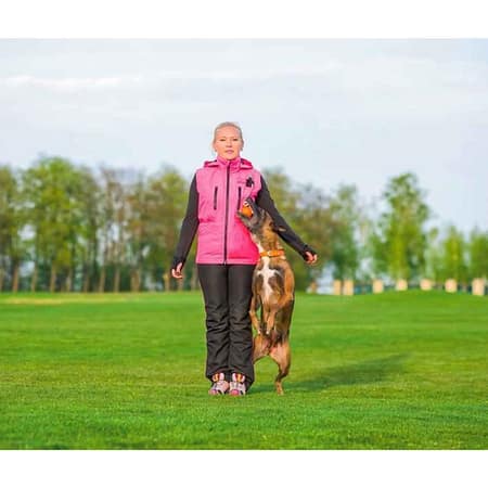 Collar Liker Magnet Köpek Eğitim ve Oyun Topu 9x30 Cm