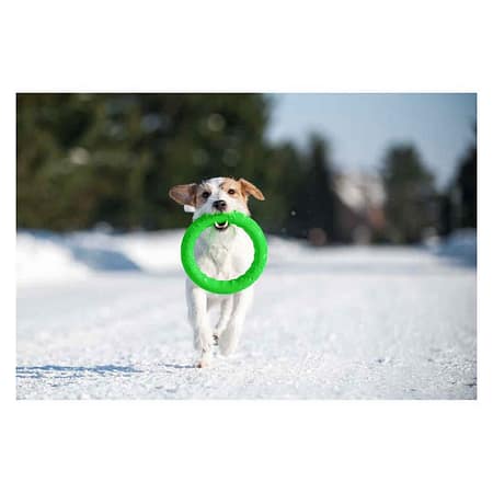 PitchDog30, fetch ring (diameter 28 cm) lime green