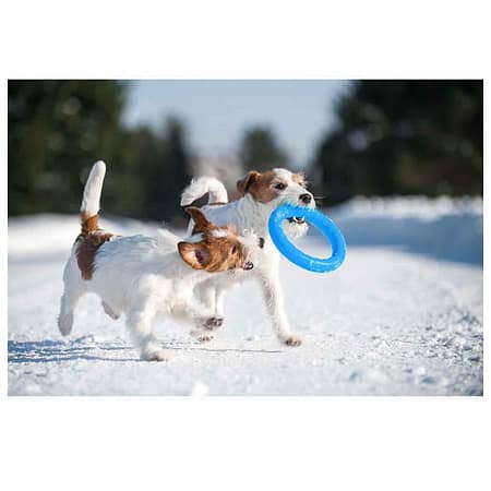 Collar PitchDog Plastik Halka Köpek Oyuncağı Mavi 20 Cm