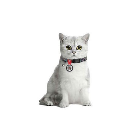 Collar QR Pasaportlu Kedi ve Ufak Irk Köpek Boyun Tasmas