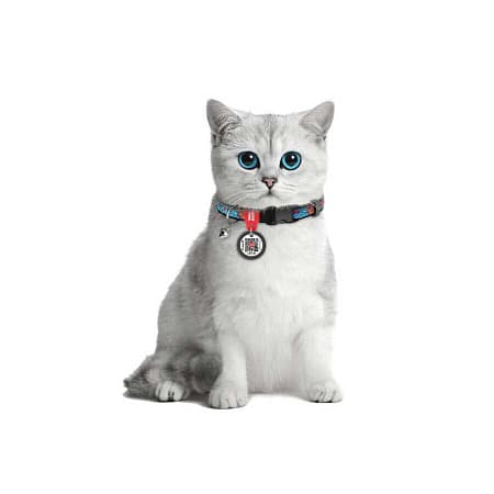 Collar QR Pasaportlu Kedi ve Ufak Irk Köpek Boyun Tasması