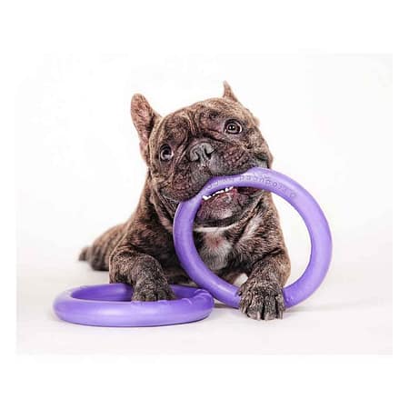 Dog training device PULLER Micro diameter 13 cm