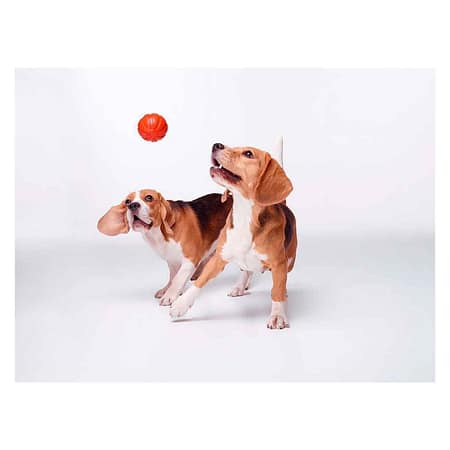 LIKER ball diameter 7 cm