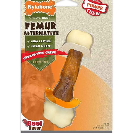 Nylabone Biftek Aromalı Köpek Çiğneme Kemiği
