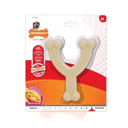 Nylabone Tavuk Aromalı Köpek Çiğneme Kemiği