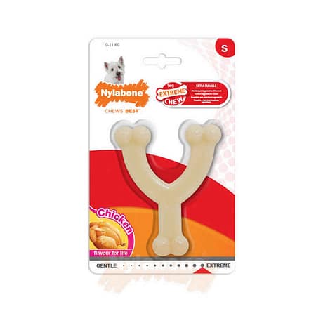 Nylabone Tavuk Aromalı Köpek Çiğneme Kemiği S