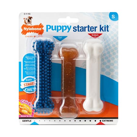 Nylabone Tavuk Aromalı Yavru Köpek Başlangıç Kiti