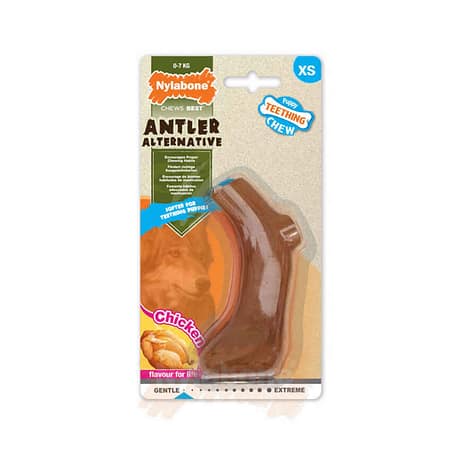 Nylabone Tavuk Aromalı Yavru Köpek Çiğneme Çubuğu