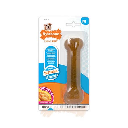 Nylabone Tavuk Aromalı Yavru Köpek Çiğneme Kemiği