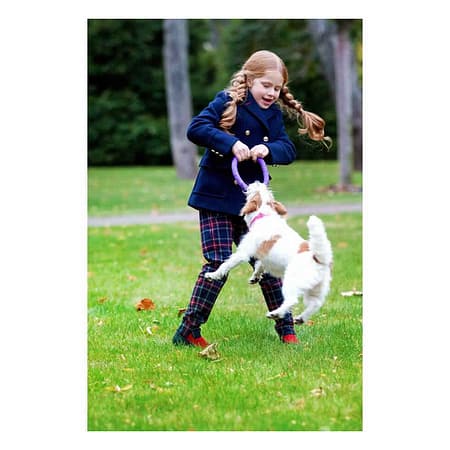 PULLER Mini dog training device diameter