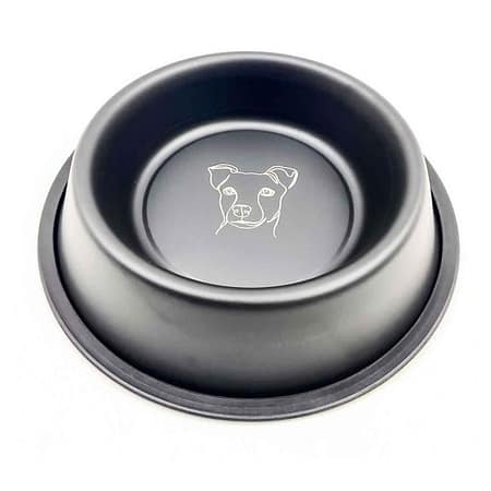 Playfull 96 Oz Desenli Çelik Mama ve Su Kabı