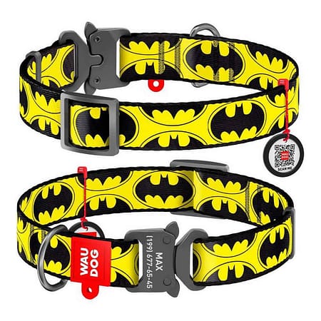 Collar Waudog Batman Logolu Metal Tokalı Köpek Boyun Tasması 24-40 Cm