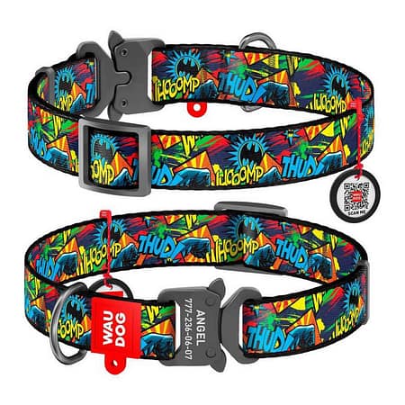 Collar Waudog Batman Logolu Metal Tokalı Köpek Boyun Tasması 31-49 Cm 25mm
