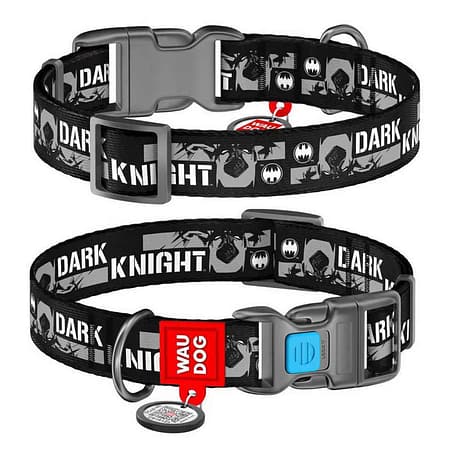 Collar Waudog Batman Logolu Plastik Tokalı Köpek Boyun Tasması 31-49 Cm 25mm