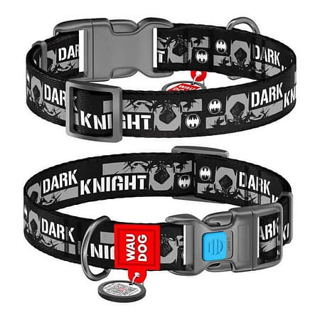Collar Waudog Batman Logolu Plastik Tokalı Köpek Boyun Tasması 35-58 Cm 25mm