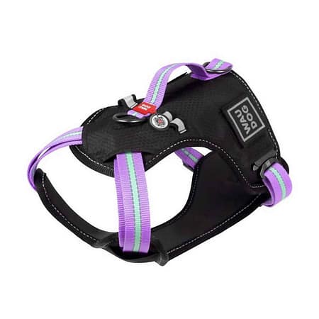 Collar Waudog Fosforlu ve QR Pasaportlu Köpek Göğüs Tasması XL Mor 25mm