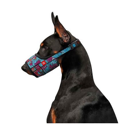 Collar Waudog Summer Model Köpek Ağızlığı 14-20 Cm