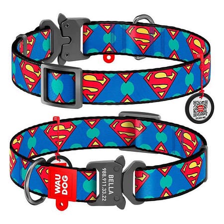 Collar Waudog Superman Logolu Metal Tokalı Köpek Boyun Tasması 31-49 Cm
