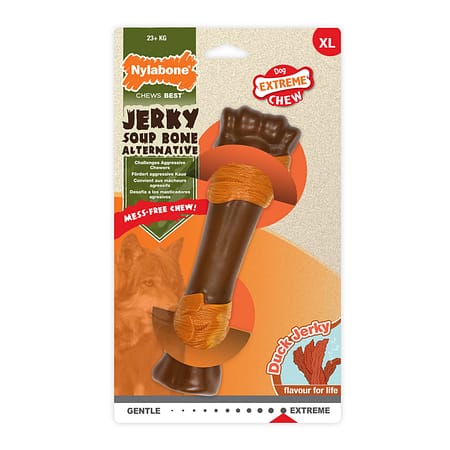 Nylabone Ördek Aromalı Köpek Çiğneme Kemiği XL