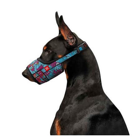 Collar Waudog Summer Model Köpek Ağızlığı 19-26 Cm