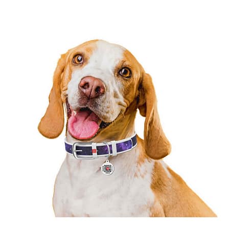WAUDOG Design genuine leather dog collar with QR passport, "NASA21" design L 30-39 cm white