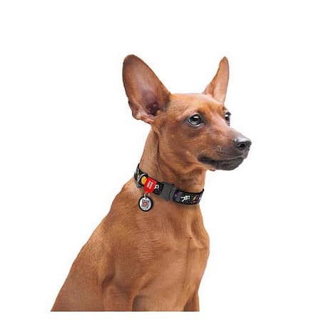 WAUDOG Nylon dog collar with QR passport, "NASA" design, metal fastex, W 20 mm, L 24-40 cm