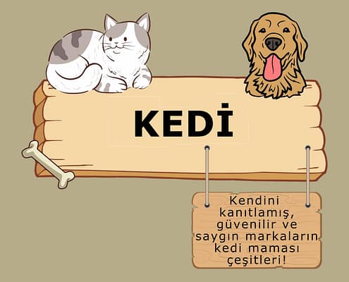 Ataşehir Petshop Kedi