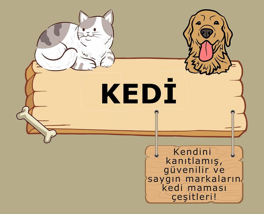 Ataşehir Petshop Kedi
