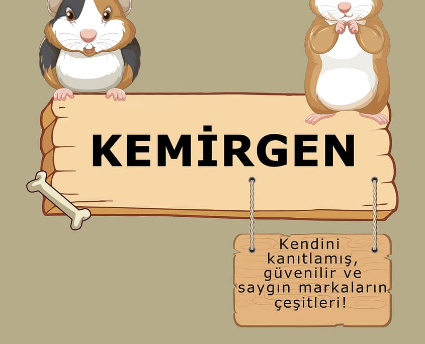Atasehir-pet-shop-Kemirgen Ataşehir Petshop Kemirgen
