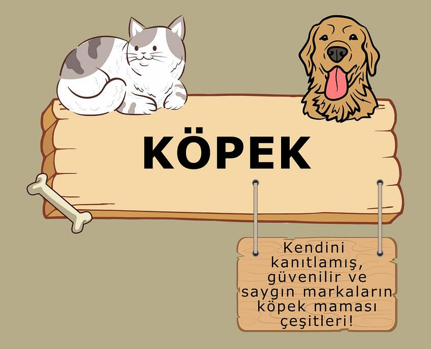 Atasehir-pet-shop-Kopek Ataşehir Petshop Köpek