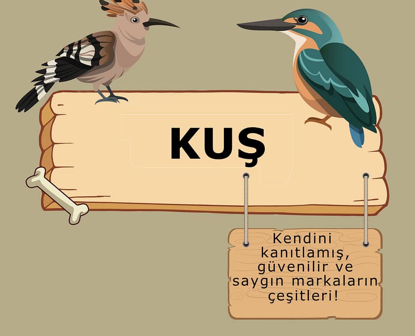 Atasehir-pet-shop-Kus Ataşehir Petshop Kuş