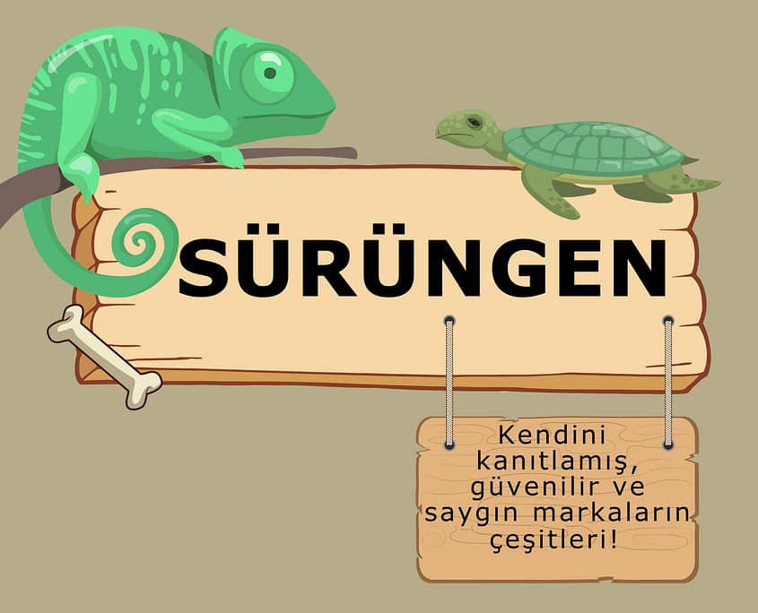 Atasehir-pet-shop-Surungen Ataşehir Petshop Sürüngen